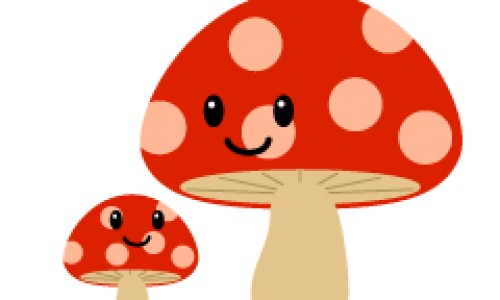 护眼常用中药有哪些-【养眼护眼的中药】护眼中成药 - 保眼的中药网