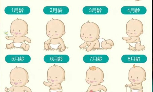 护眼中成药-【养眼护眼的中药】护眼中成药 - 保眼的中药网