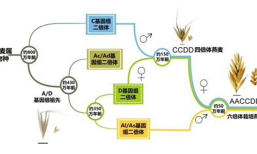 【养眼护眼的中药】护眼中成药 - 保眼的中药网